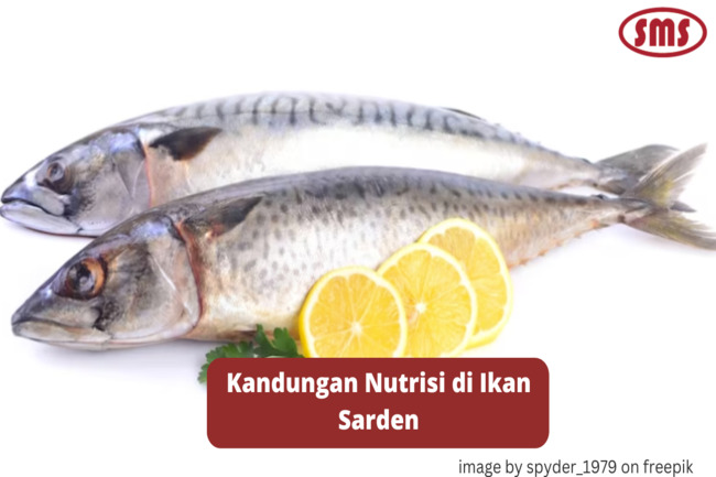 4 Kandungan Nutrisi yang Ada di Ikan Sarden
